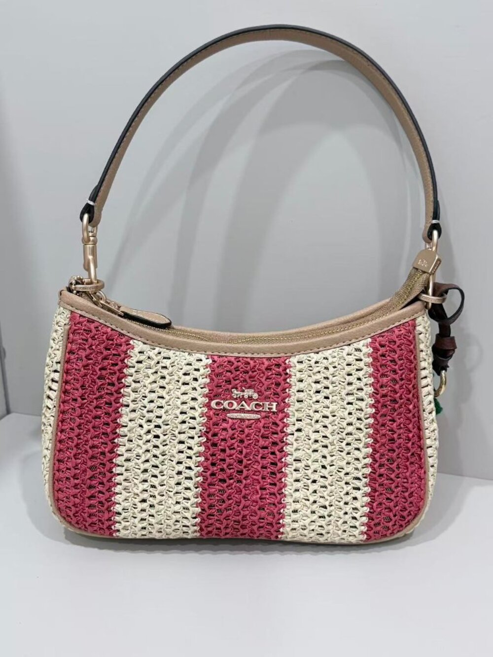 Coach Mini Hobo Shoulder Bag